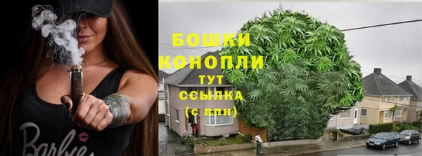 ECSTASY Абаза