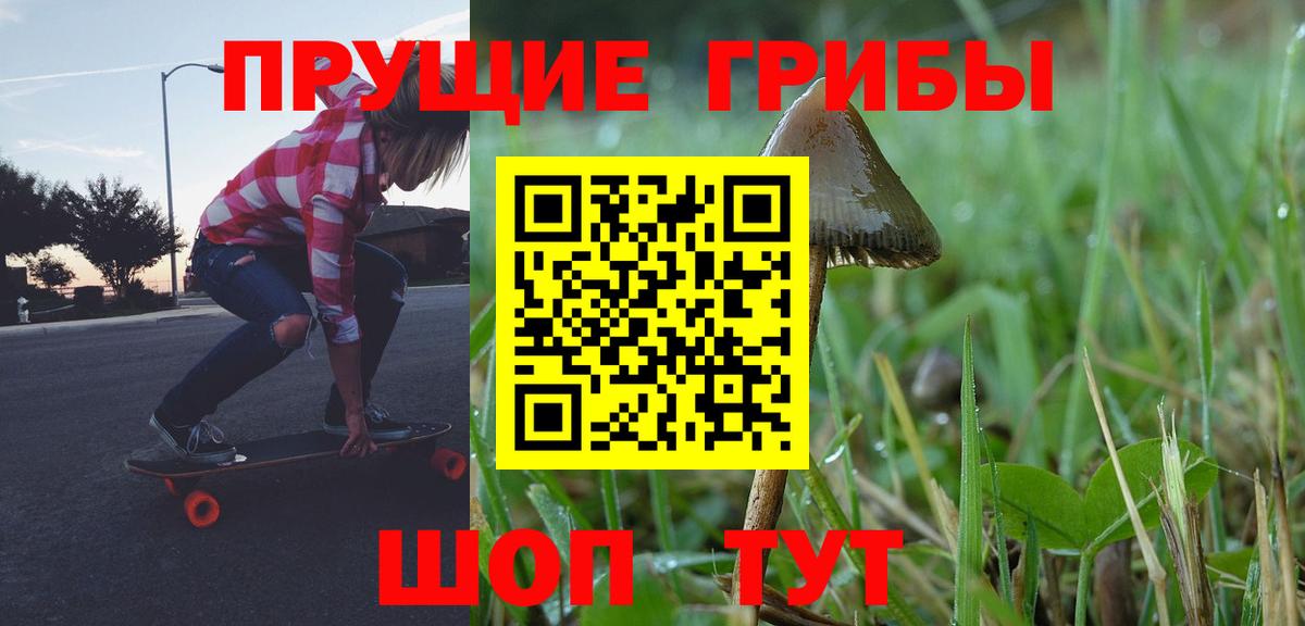 Псилоцибиновые грибы мицелий  Вход с VPN  Псилоцибиновые грибы Psilocybe  Омск 