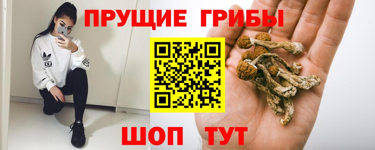Галлюциногенные грибы прущие грибы Омск