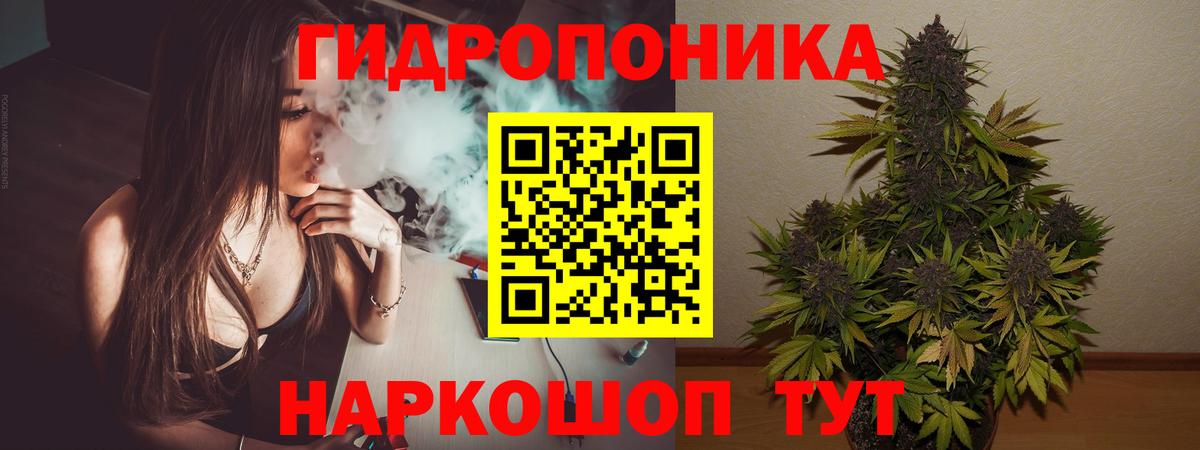 Конопля Bruce Banner Омск